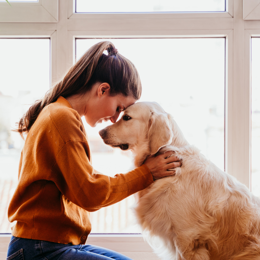 A person and a dog on a path